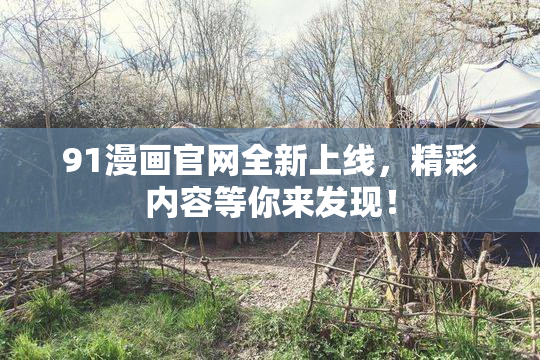 91漫画官网全新上线，精彩内容等你来发现！