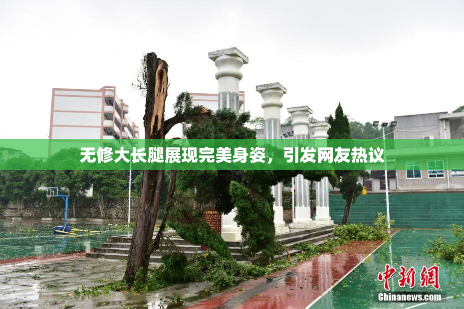 无修大长腿展现完美身姿，引发网友热议