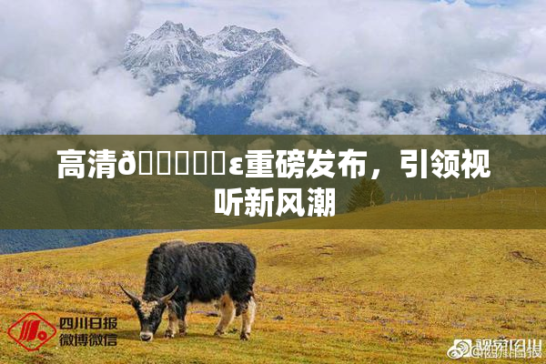 高清🔞❌‌ε重磅发布，引领视听新风潮