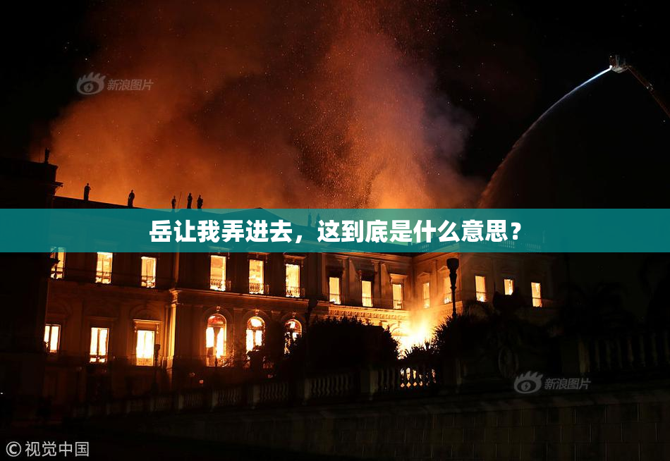 岳让我弄进去，这到底是什么意思？