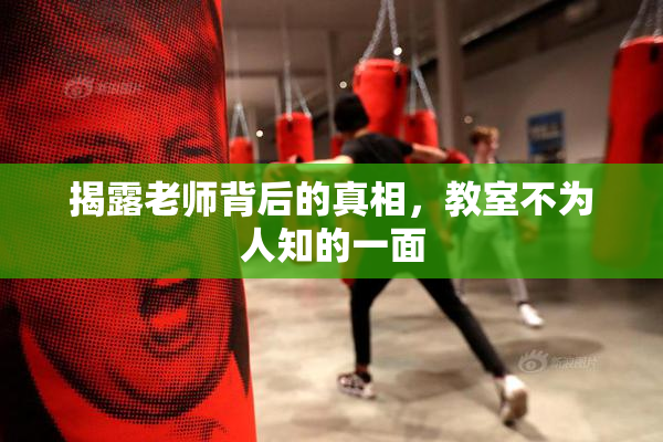 揭露老师背后的真相，教室不为人知的一面