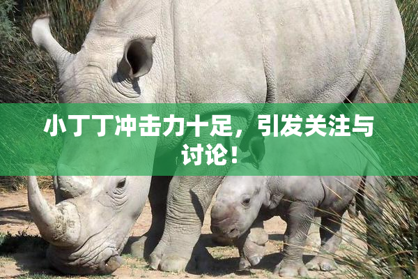 小丁丁冲击力十足，引发关注与讨论！