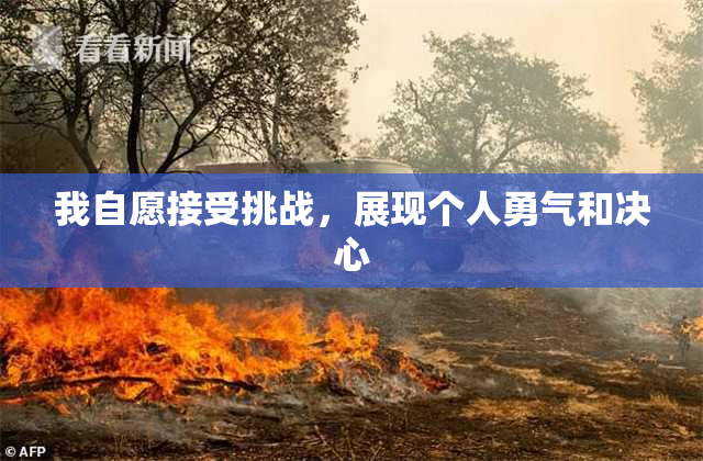 我自愿接受挑战，展现个人勇气和决心