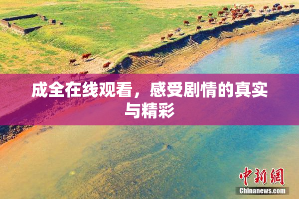 成全在线观看，感受剧情的真实与精彩