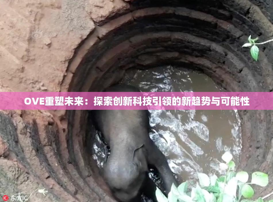 OVE重塑未来：探索创新科技引领的新趋势与可能性