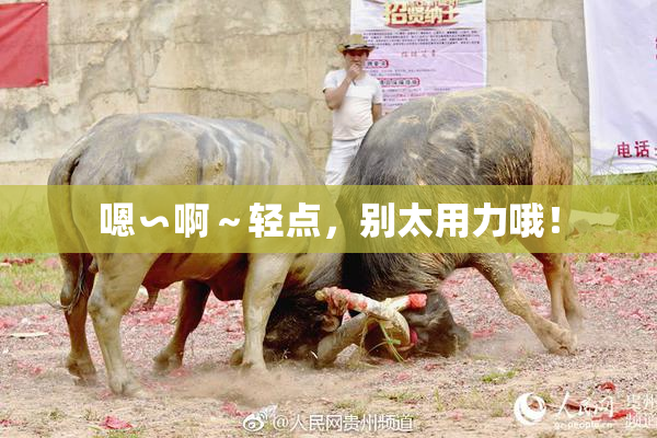 嗯∽啊～轻点，别太用力哦！