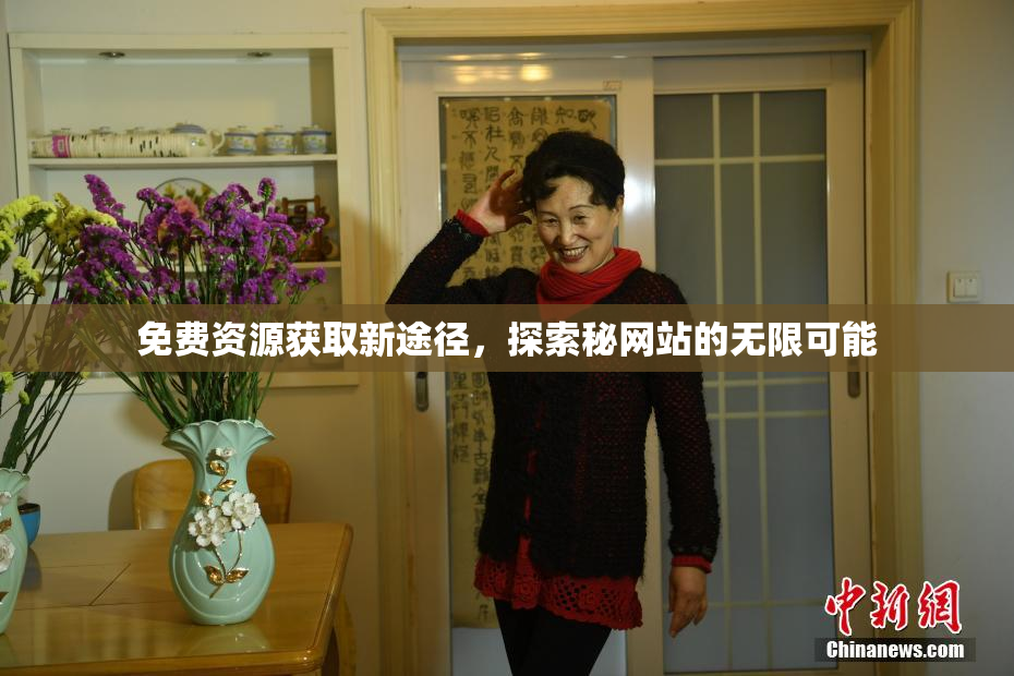 免费资源获取新途径，探索秘网站的无限可能