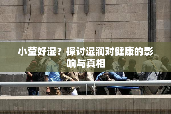 小莹好湿？探讨湿润对健康的影响与真相