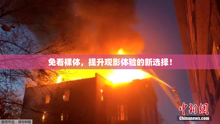 免看裸体，提升观影体验的新选择！