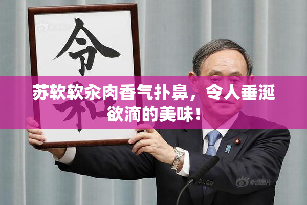 苏软软汆肉香气扑鼻，令人垂涎欲滴的美味！