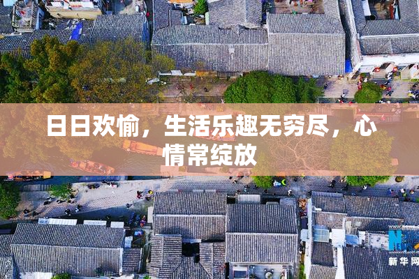 日日欢愉，生活乐趣无穷尽，心情常绽放