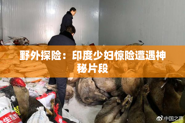 野外探险：印度少妇惊险遭遇神秘片段