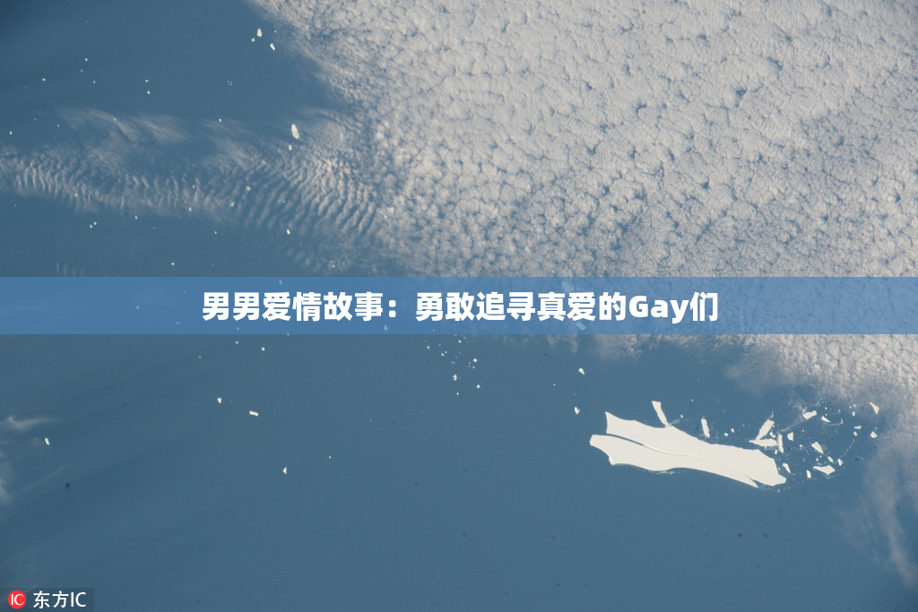 男男爱情故事：勇敢追寻真爱的Gay们