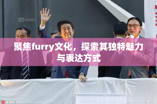 聚焦furry文化，探索其独特魅力与表达方式