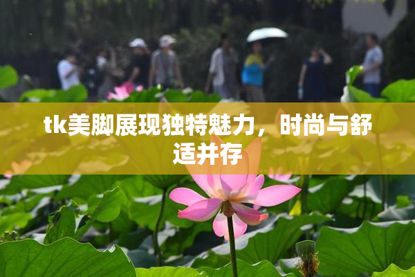 tk美脚展现独特魅力，时尚与舒适并存