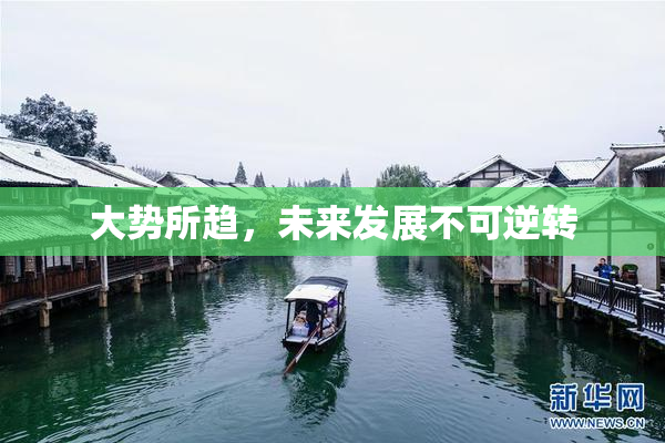 大势所趋，未来发展不可逆转