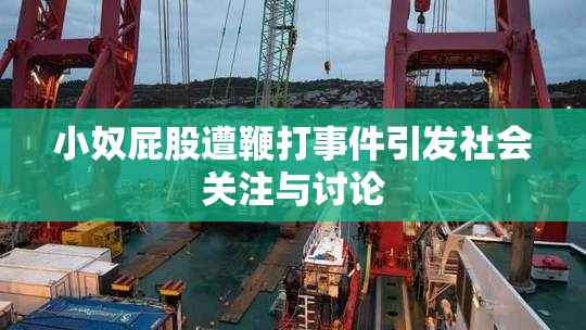 小奴屁股遭鞭打事件引发社会关注与讨论