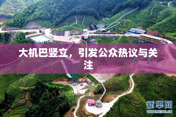 大机巴竖立，引发公众热议与关注