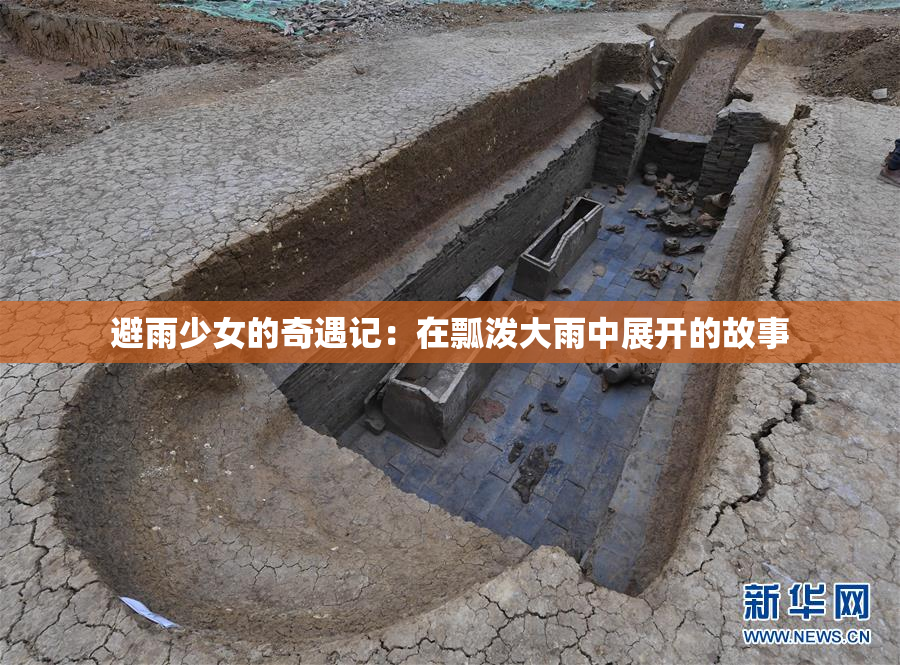 避雨少女的奇遇记：在瓢泼大雨中展开的故事