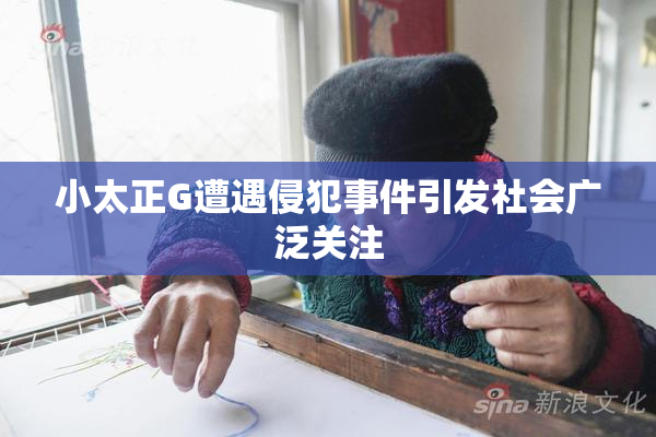 小太正G遭遇侵犯事件引发社会广泛关注