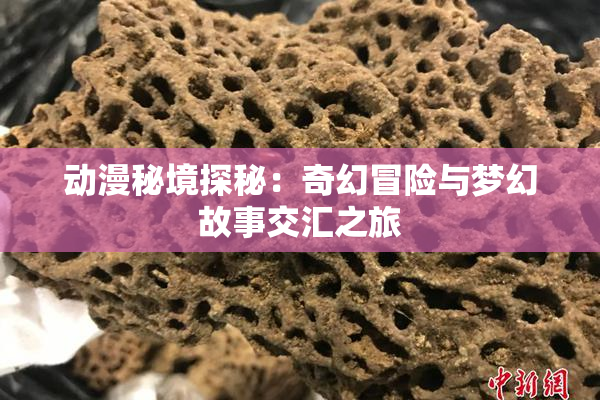 动漫秘境探秘：奇幻冒险与梦幻故事交汇之旅