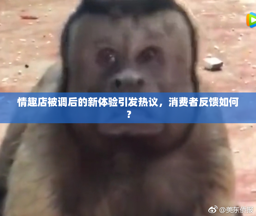情趣店被调后的新体验引发热议，消费者反馈如何？