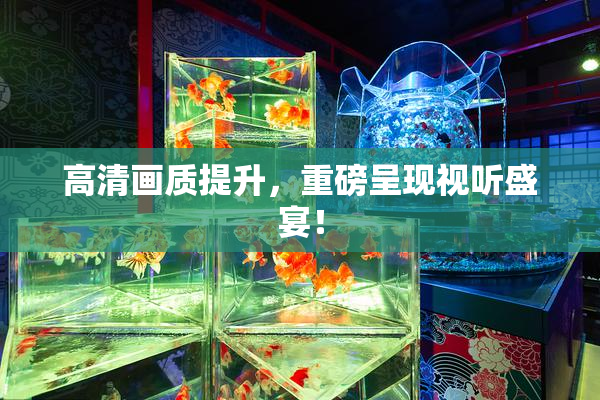高清画质提升，重磅呈现视听盛宴！