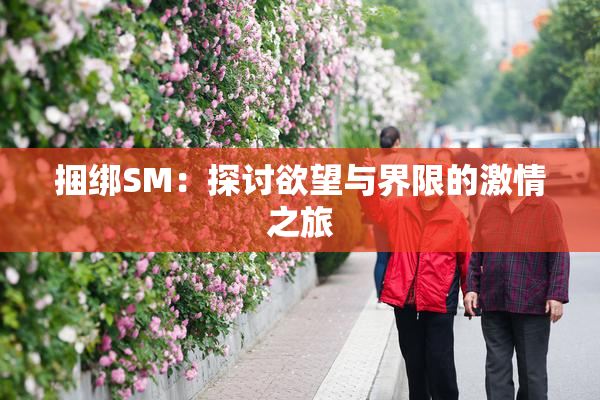 捆绑SM：探讨欲望与界限的激情之旅