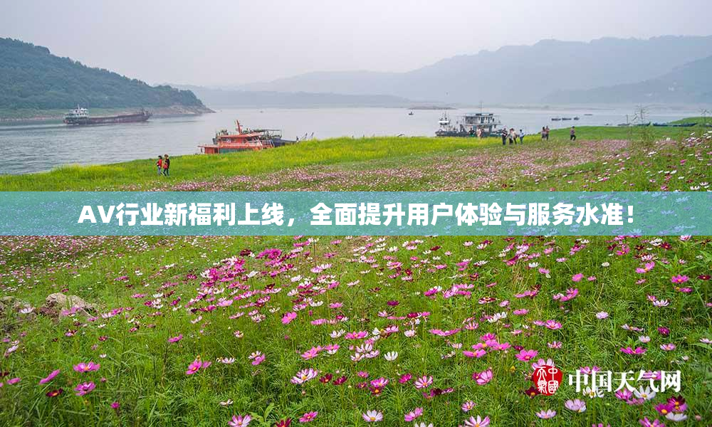 AV行业新福利上线，全面提升用户体验与服务水准！