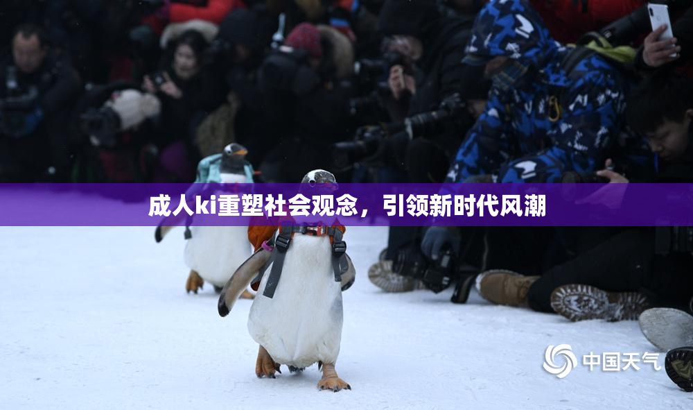 成人ki重塑社会观念，引领新时代风潮