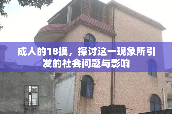 成人的18摸，探讨这一现象所引发的社会问题与影响