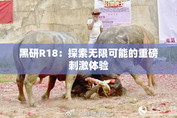 黑研R18：探索无限可能的重磅刺激体验