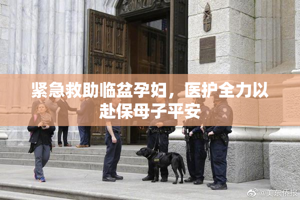 紧急救助临盆孕妇，医护全力以赴保母子平安