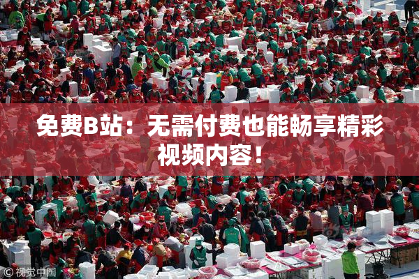 免费B站：无需付费也能畅享精彩视频内容！