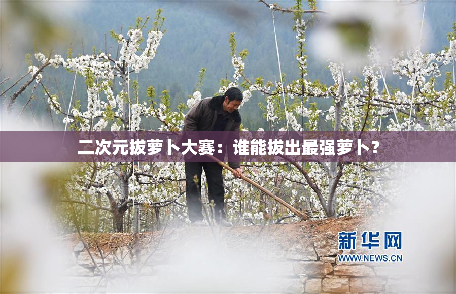 二次元拔萝卜大赛：谁能拔出最强萝卜？