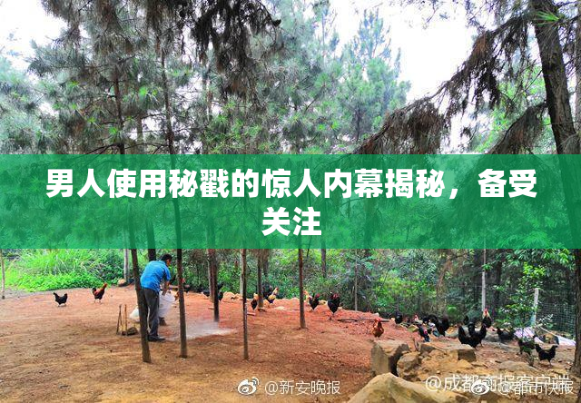 男人使用秘戳的惊人内幕揭秘，备受关注