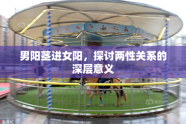 男阳茎进女阳，探讨两性关系的深层意义