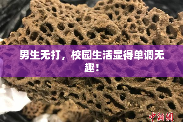 男生无打，校园生活显得单调无趣！
