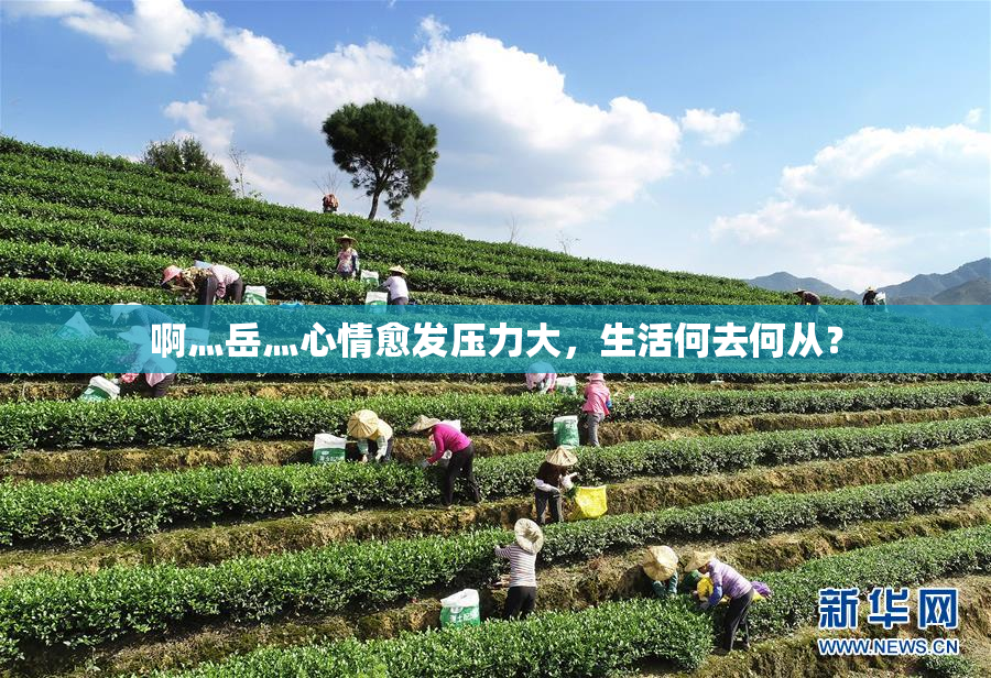 啊灬岳灬心情愈发压力大，生活何去何从？