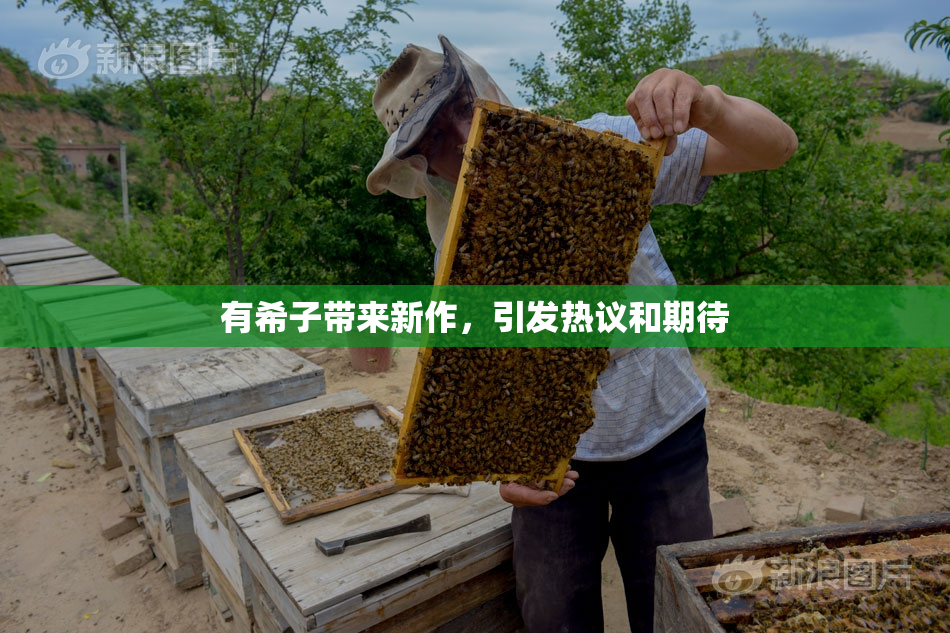 有希子带来新作，引发热议和期待
