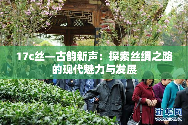 17c丝—古韵新声：探索丝绸之路的现代魅力与发展