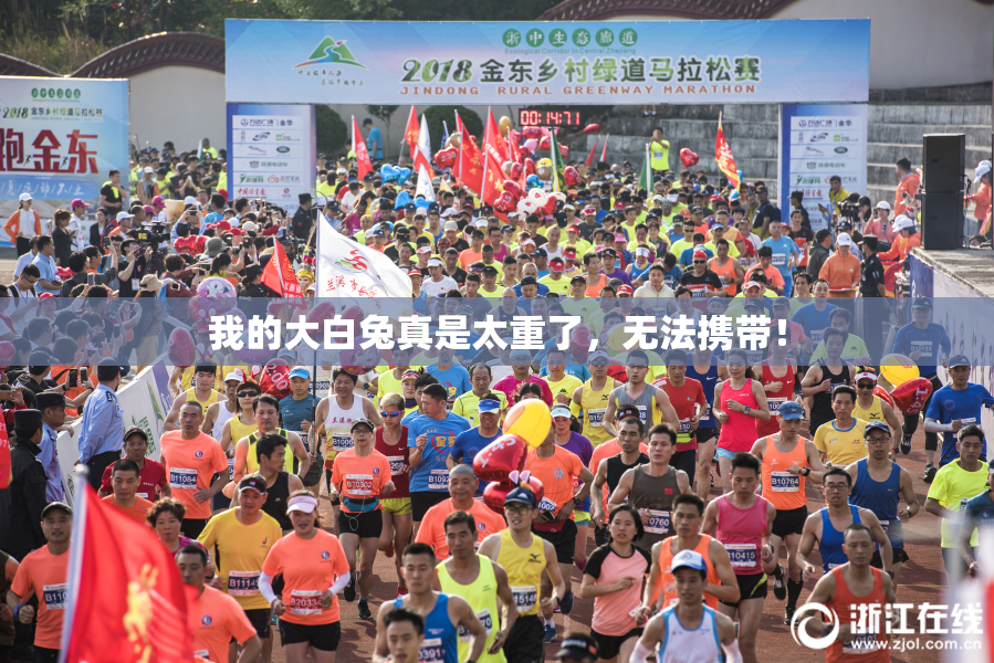 我的大白兔真是太重了，无法携带！