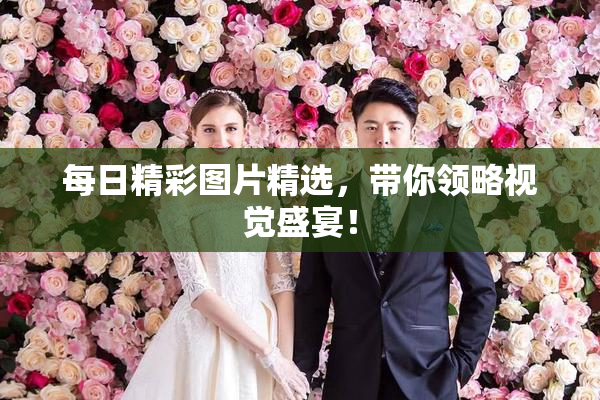 每日精彩图片精选，带你领略视觉盛宴！