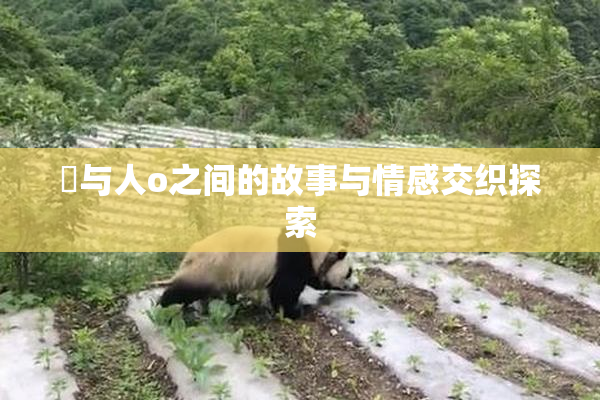 嘼与人o之间的故事与情感交织探索