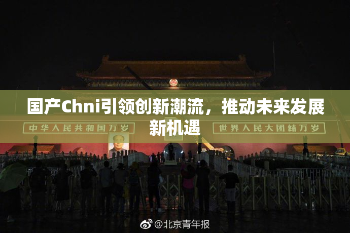 国产Chni引领创新潮流，推动未来发展新机遇
