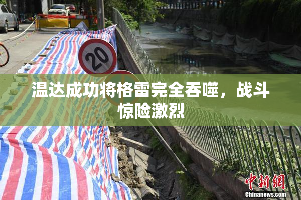 温达成功将格雷完全吞噬，战斗惊险激烈