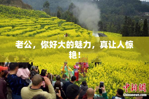 老公，你好大的魅力，真让人惊艳！