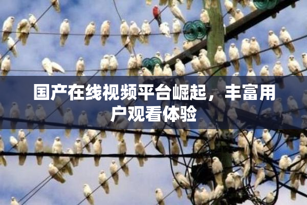 国产在线视频平台崛起，丰富用户观看体验