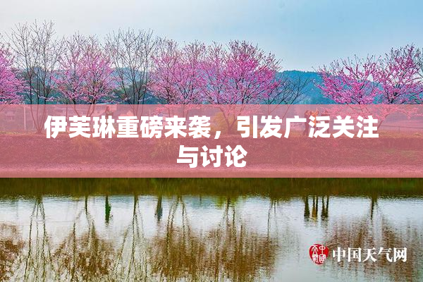 伊芙琳重磅来袭，引发广泛关注与讨论