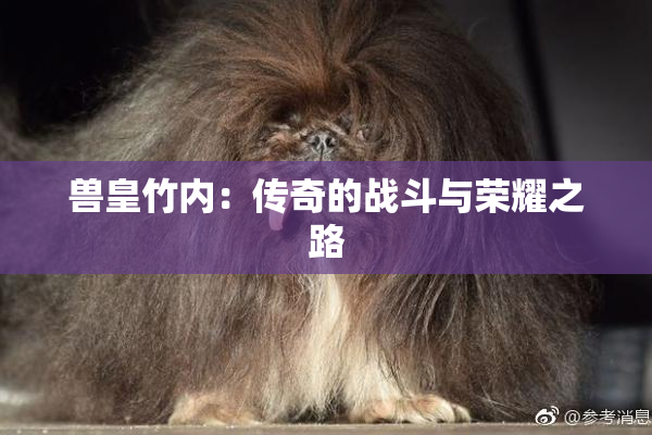 兽皇竹内：传奇的战斗与荣耀之路
